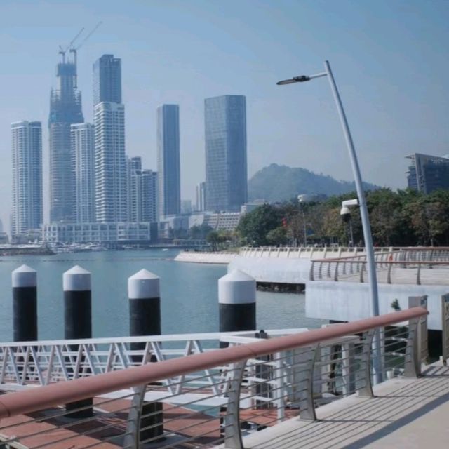 蛇口漁港的市井詩意｜漁人碼頭晨昏記