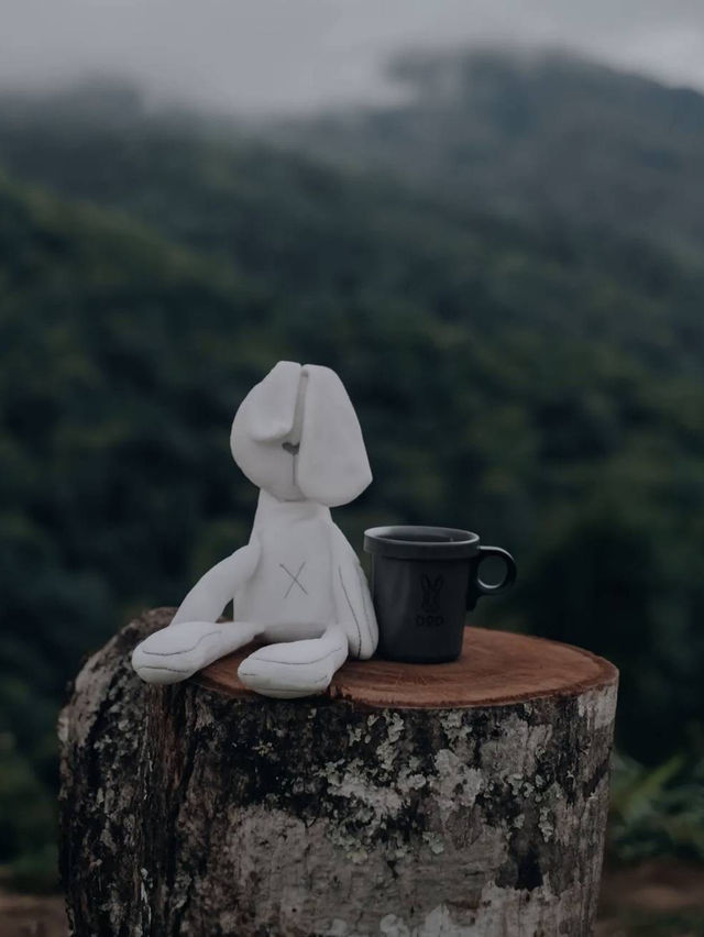 ดอย