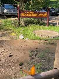 เที่ยวเชียงใหม่ (เชียงดาว)