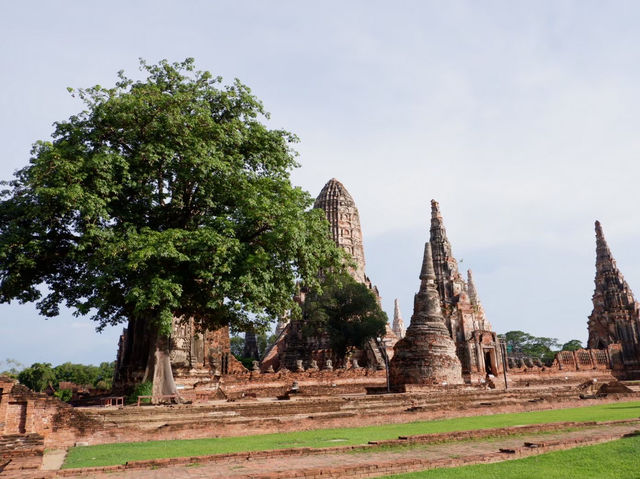 พาเที่ยวอุทยานประวัติศาสตร์ วัดไชยวัฒนาราม