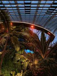 📍Cloud Forest