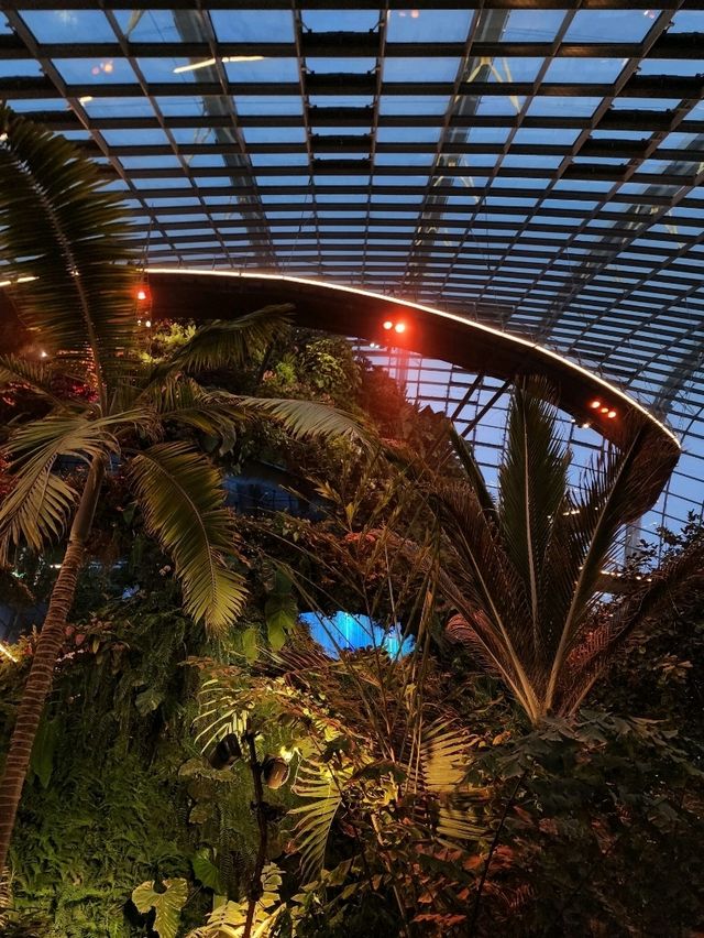 📍Cloud Forest