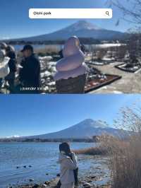 Fuji kawaguchiko 1day trip