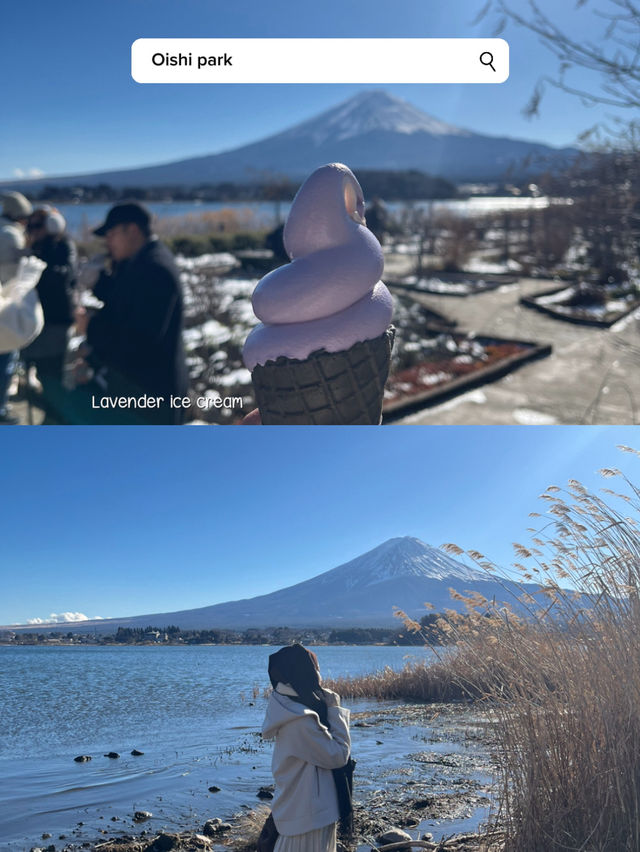 Fuji kawaguchiko 1day trip