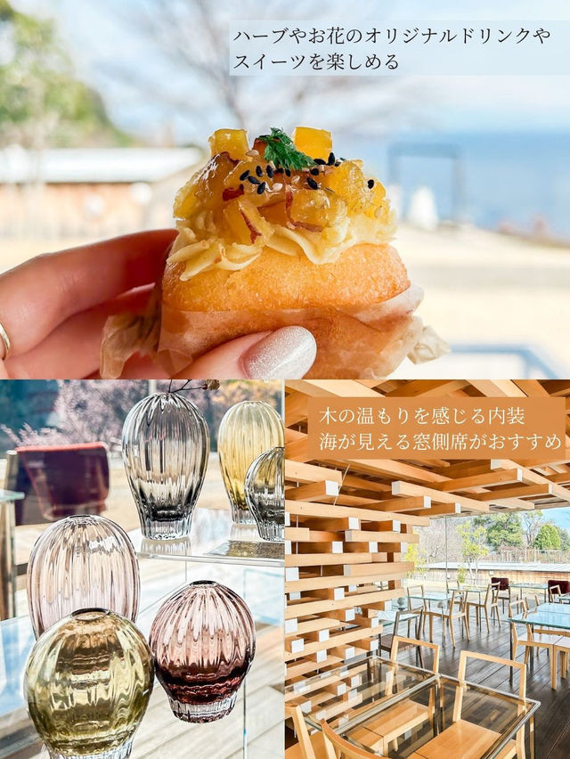 ガーデンとカフェが魅力的な熱海の観光スポット🌸
