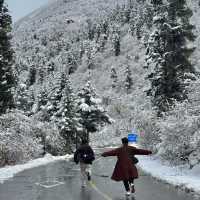 อุทยานปี้เผิงโกว หิมะตก สวยมากกก 🌨️🌲 