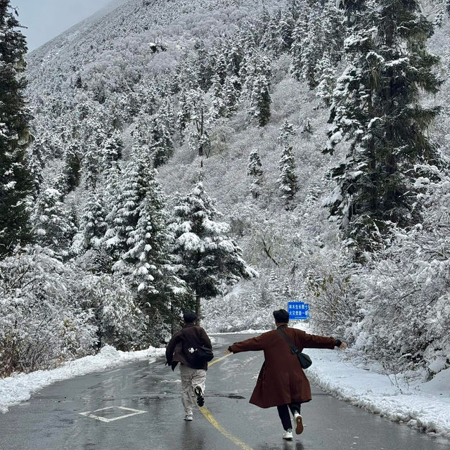 อุทยานปี้เผิงโกว หิมะตก สวยมากกก 🌨️🌲 