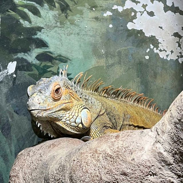 Tennoji Zoo (天王寺動物園) – A Relaxing Family-Friendly Attraction