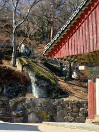 산에서 내려다보는 풍경이 예술