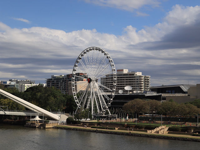  在布里斯班的高空中旋轉：The Wheel of Brisbane的壯觀之旅 🎡🌆