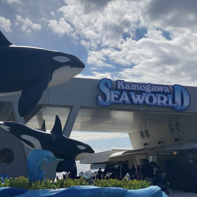 千葉県にある学べる水族館『鴨川シーワールド』🐠
