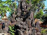 Beauty of temples