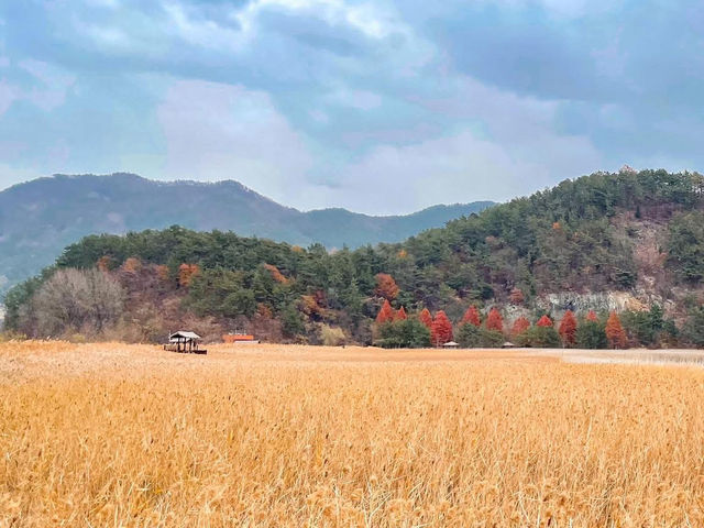 Suncheon Bay Wetland Reserve
