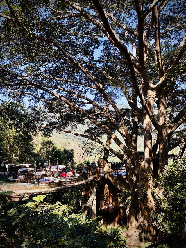 ☕️給你滿滿的能量，一起在樹蔭下Chill一下！🌳☀️