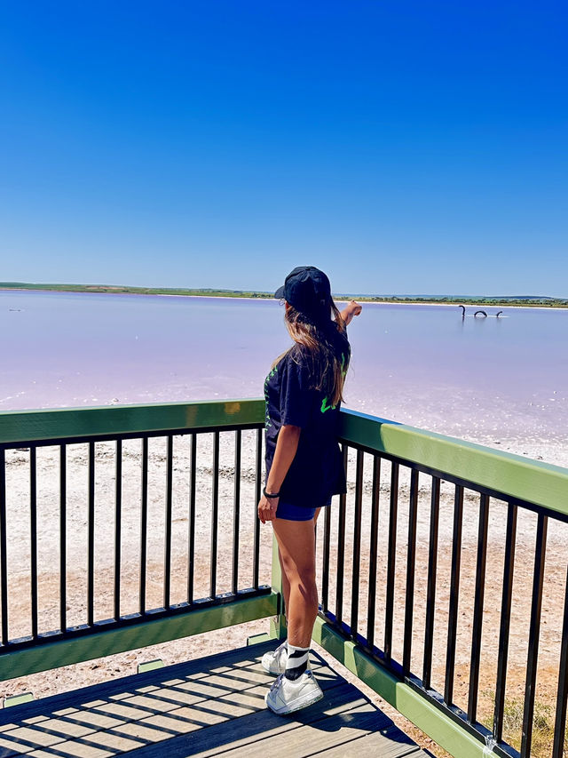 South Australia Road Trip: Sydney to SA🚗🏝️   