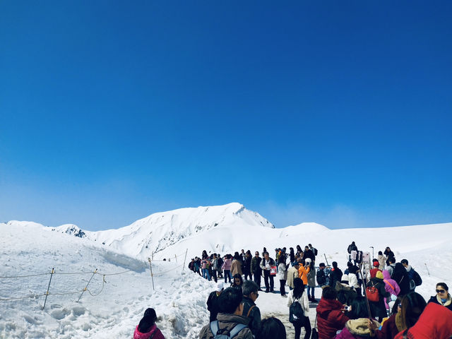 กำแพงหิมะสุดอลังการ Tateyama Kurobe Alpine Route
