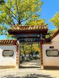 昆明·翠湖公園｜城市中的一片靜謐綠洲