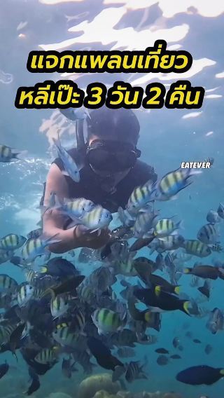 แพลนเที่ยว เกาะหลีเป๊ะ 3 วัน 2 คืน