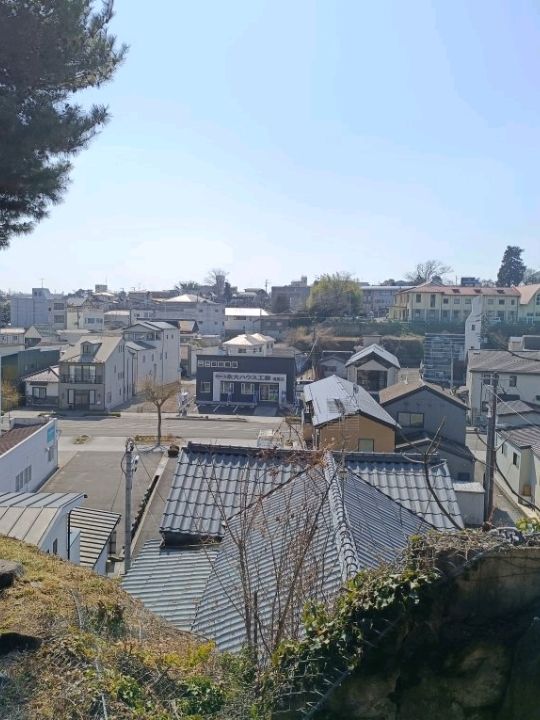 日本三景之松島遊：宮城縣“舊龜井邸”建築