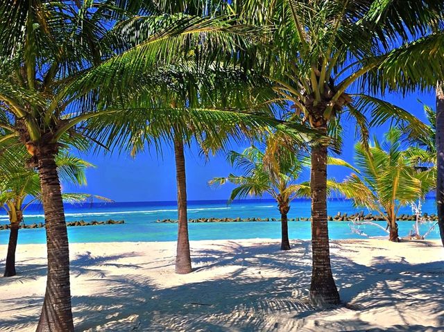 Kuredu Maldives 🇲🇻