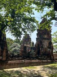 🇹🇭✅ワット・マハタート攻略ガイド｜アユタヤの神秘を体験 🌿