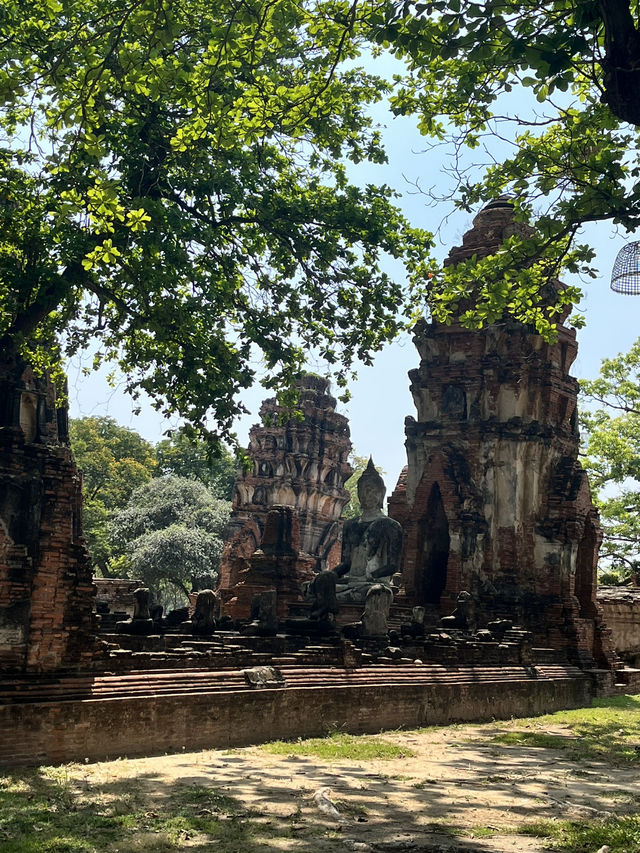 🇹🇭✅ワット・マハタート攻略ガイド｜アユタヤの神秘を体験 🌿