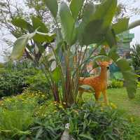 🌸 **天水圍公園櫻花觀賞遊覽分享** 🌸