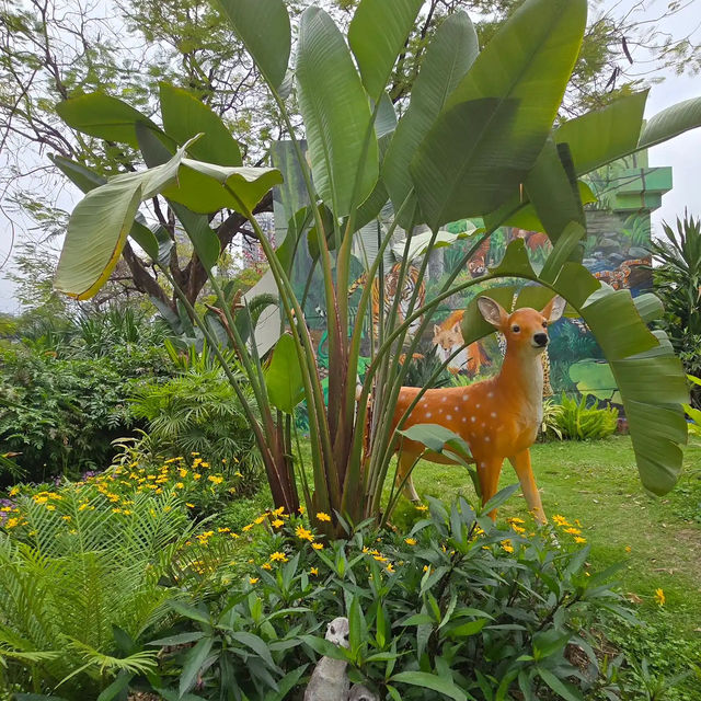 🌸 **天水圍公園櫻花觀賞遊覽分享** 🌸