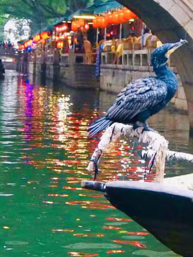 A Slice of Old China - Tongli Town