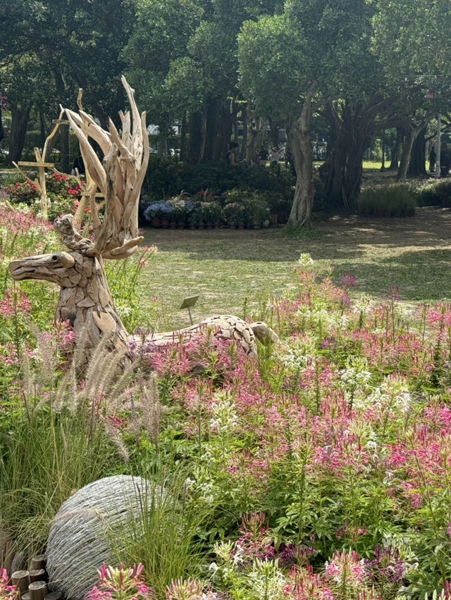 台北輕鬆一日遊：大安森林公園、台北101與象山🌳🏙️
