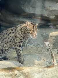 とても楽しい水族館