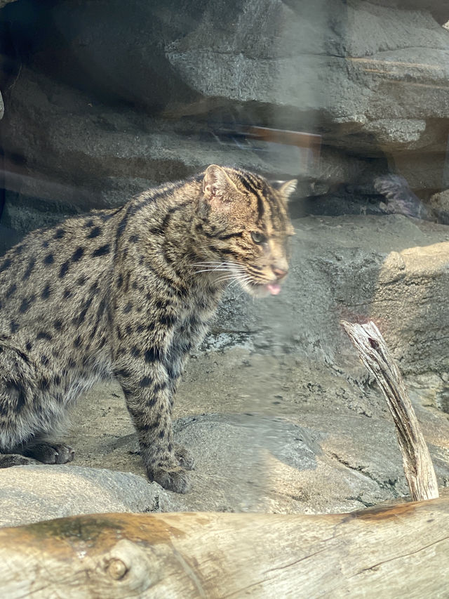 とても楽しい水族館
