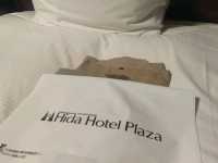 #飛驒廣場飯店 Hida Hotel Plaza