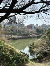 千鳥ヶ淵花見🌸近くのおすすめランチ【東京／千鳥ヶ淵】