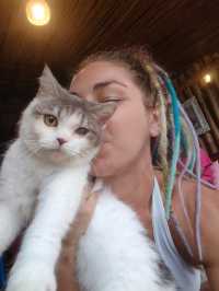 Nusa Lembongan Cat Cafe!