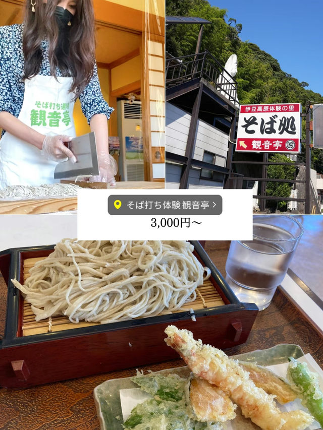 車がなくても大丈夫【伊豆完全攻略プラン】