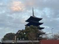 【東寺】世界遺産🌏