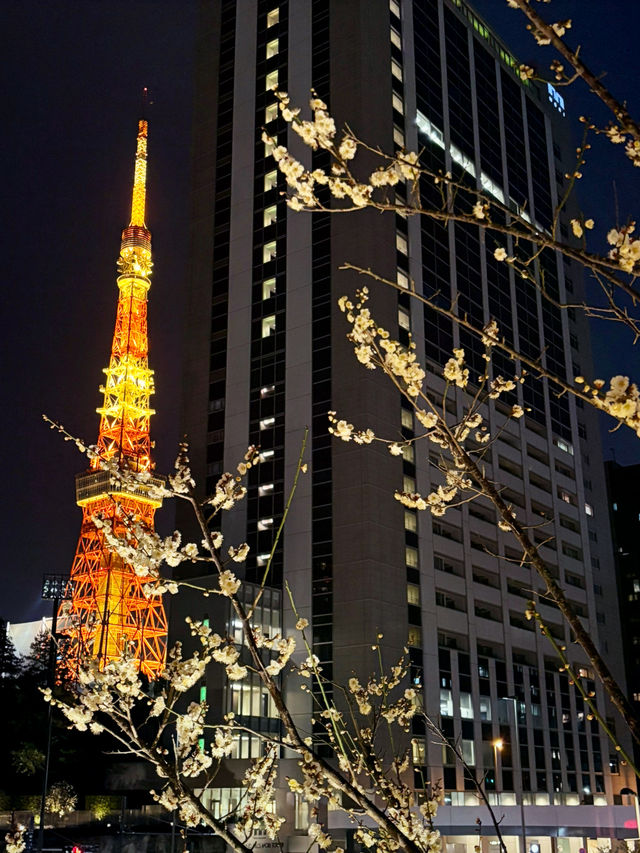 【虎ノ門ヒルズ、六本木ヒルズ、麻布台ヒルズでの週末1人旅】