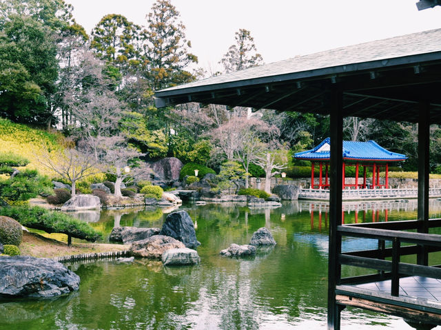 静寂と四季が彩る癒しの空間🌿⛲