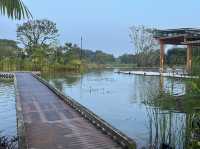 Wandering Through Stillness: A Solo Day at the Chinese and Japanese Gardens in Singapore