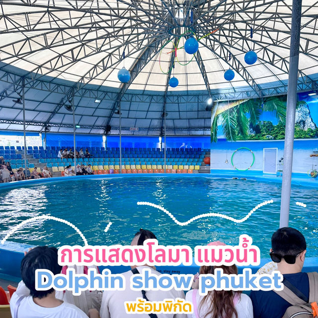 โชว์โลมาภูเก็ต