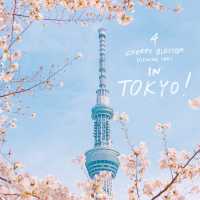 4 พิกัดชมซากุระที่ 'โตเกียว' 🌸🗼