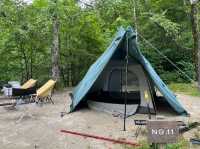 せいなの森キャンプ場で自然と触れ合うアウトドア体験⛺🌲