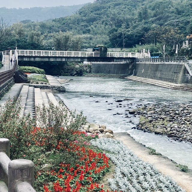 萬里杜鵑花季｜免費賞花好去處，春日漫遊半日遊推薦！