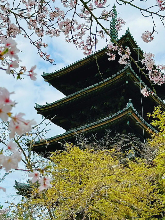 心がふわりとほどける時間。任和寺で出会うバイオリンと仏の響き