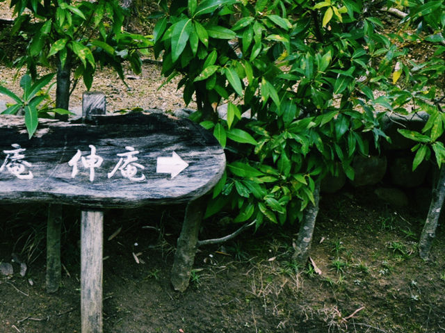 侘び寂びに触れる、心静まる茶室体験🍵⛩