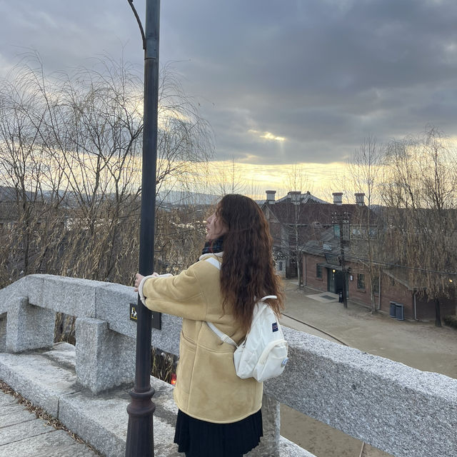 드라마 촬영지로 유명한 논산 선샤인 랜드🧡
