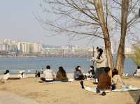 平日漢江公園驚見超浪漫野餐景象！情侶在草地上看韓劇，這才是韓國人最愛的放鬆方式在韓國的平日午後