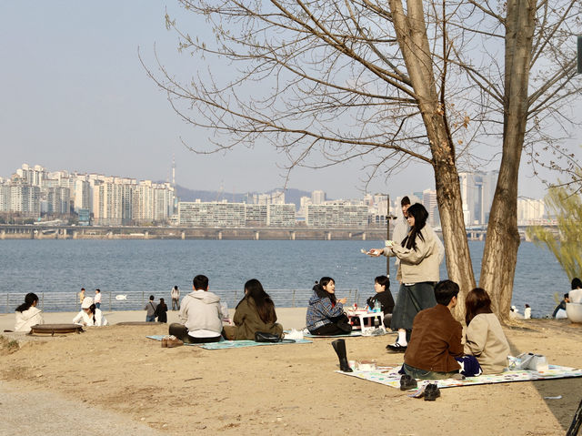 平日漢江公園驚見超浪漫野餐景象！情侶在草地上看韓劇，這才是韓國人最愛的放鬆方式在韓國的平日午後