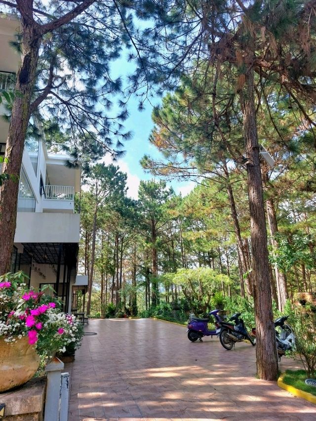 Romeo & Juliet Guesthouse @Dalat, Vietnam